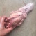 【优质推荐】猪舌头猪副产品一手货源产地直发可视频看货