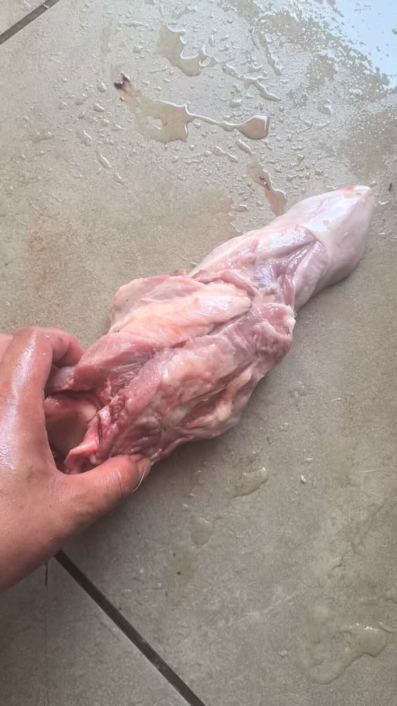 【优质推荐】猪舌头猪副产品一手货源产地直发可视频看货