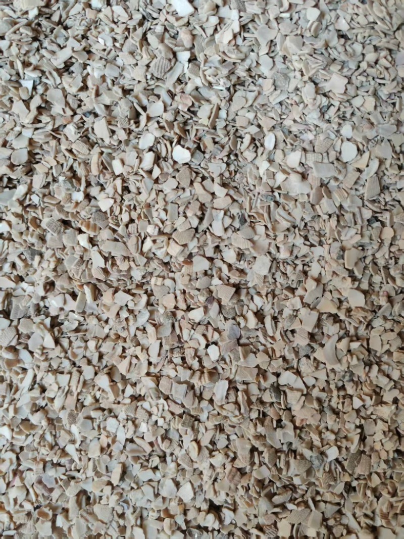 贝壳粉中颗粒厂家直发一手货源对接饲料厂肥料厂，价格可谈