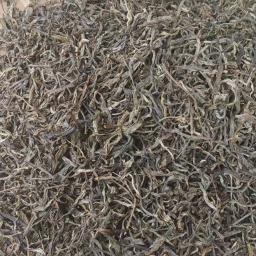 通货，毛茶，普洱茶六堡茶原料