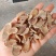 郁金