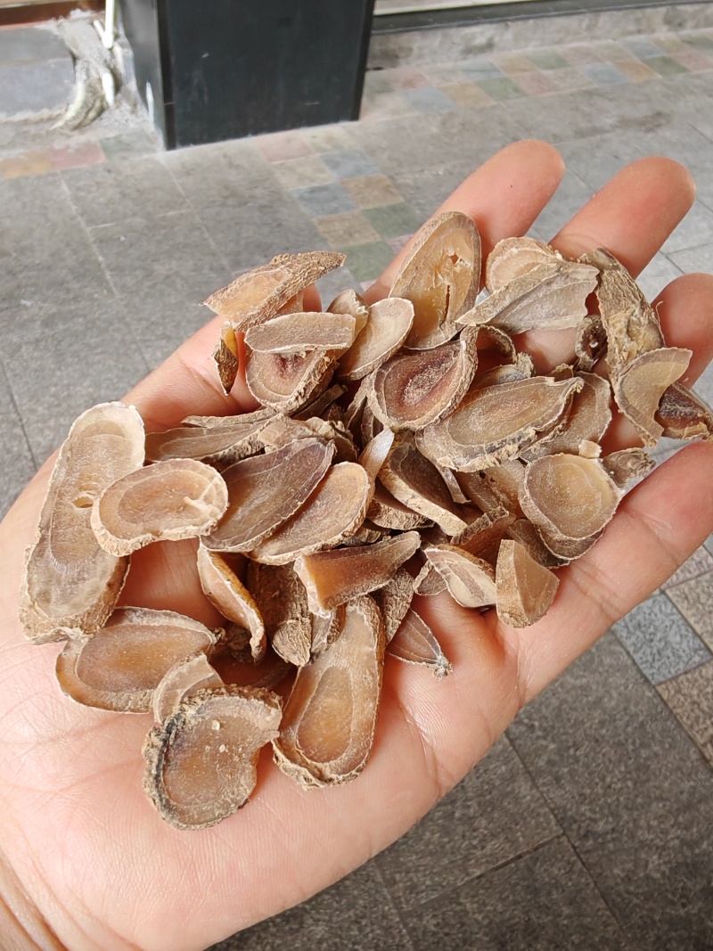 郁金
