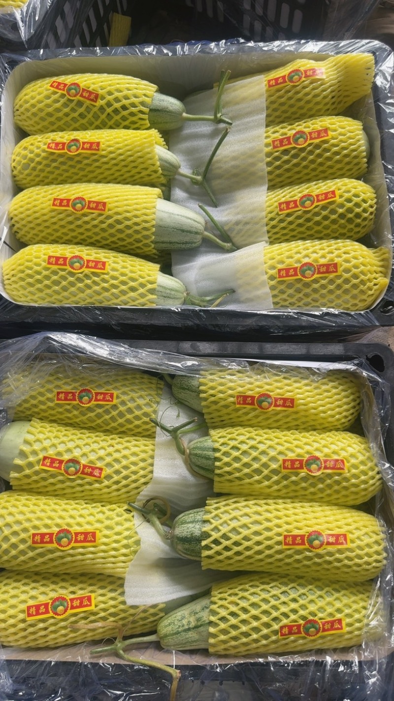 羊角密【热卖中】脆，甜，个头一斤左右，对接电商，市场，超市