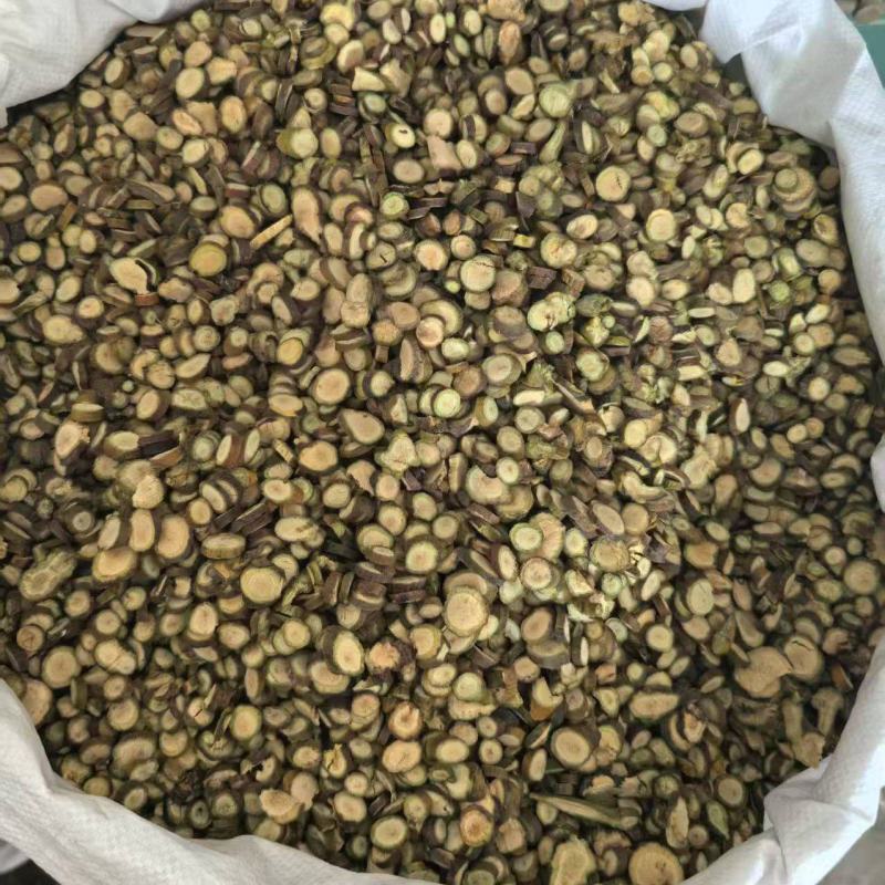 寄生槲寄生批发各种规格寄生质量保证量大从优