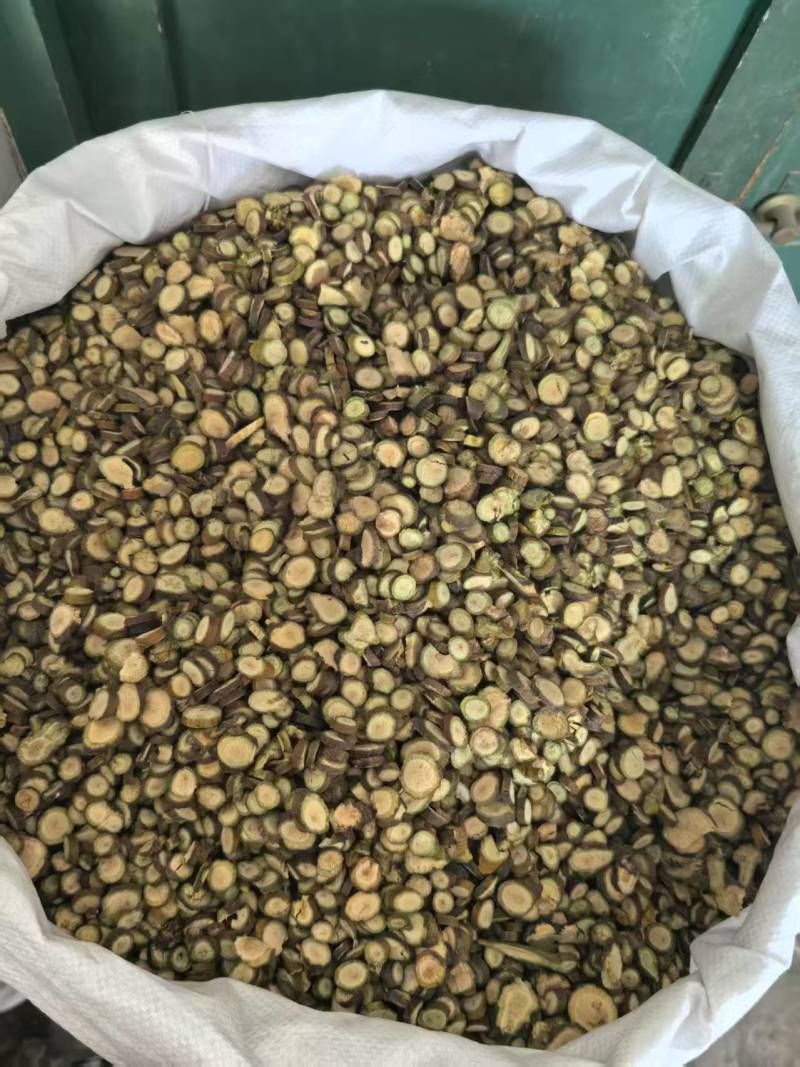 寄生槲寄生批发各种规格寄生质量保证量大从优