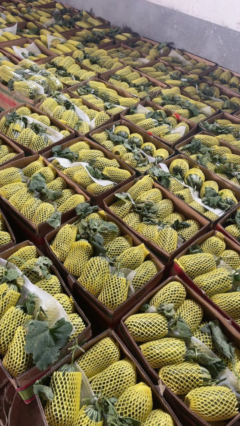 博洋91【原产地】供应电商，市场货，超市货货源充足量大！