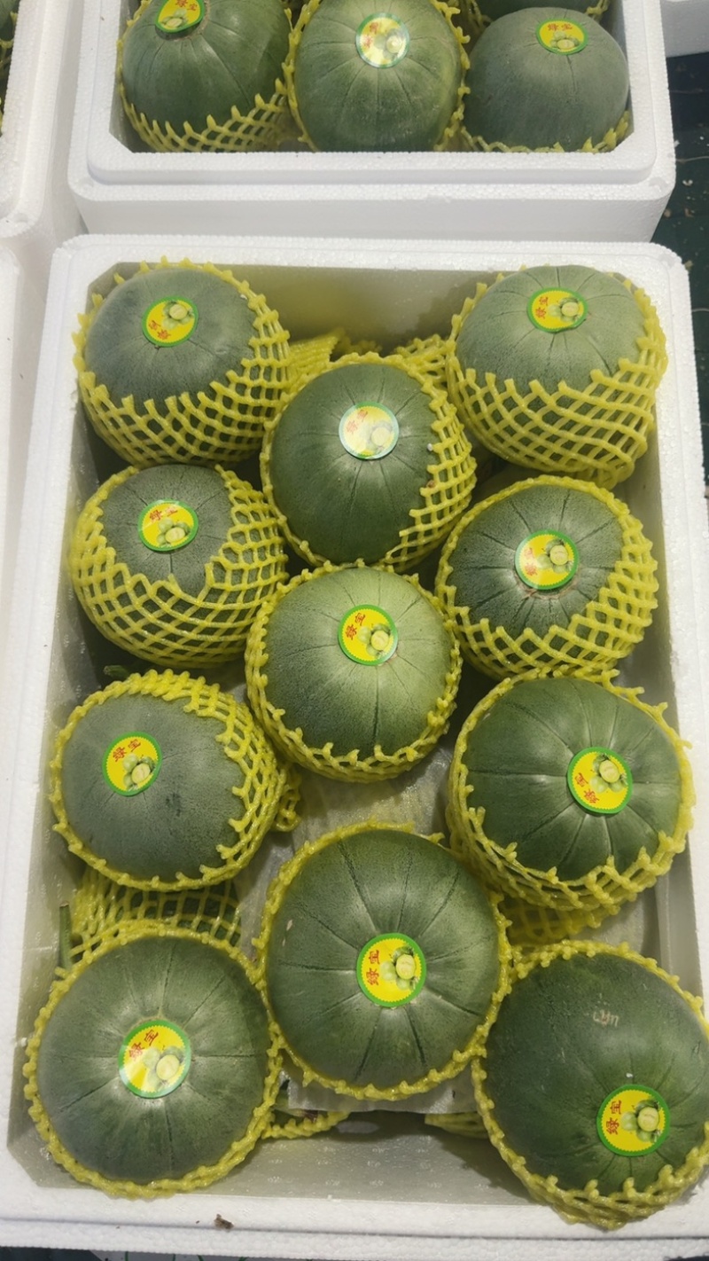 头茬精品绿宝石【热卖中，对接电商，市场，超市，社团，代发全国