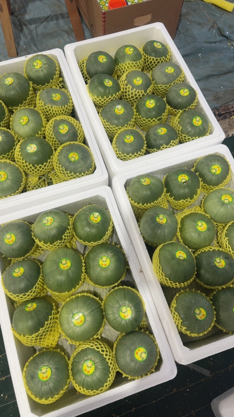 头茬精品绿宝石【热卖中，对接电商，市场，超市，社团，代发全国