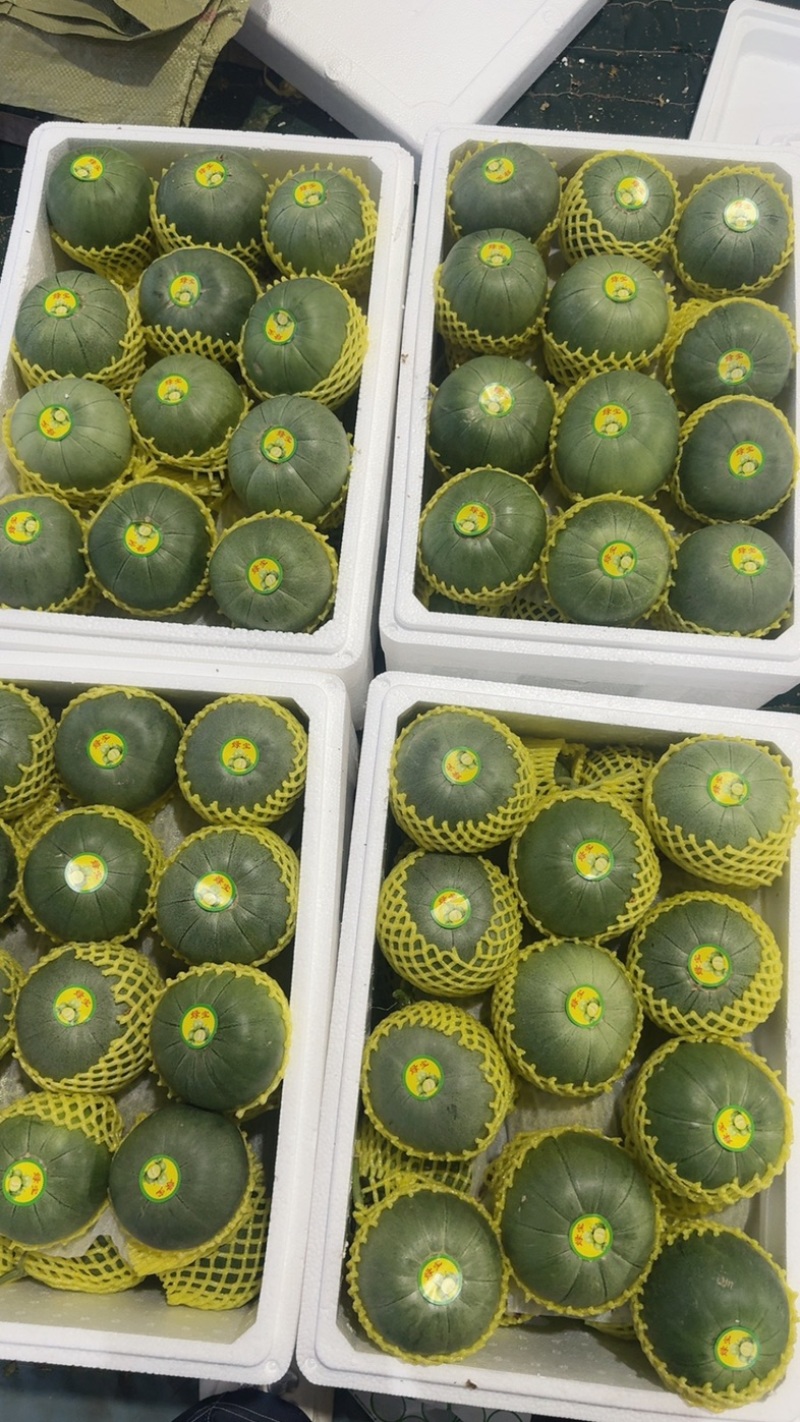 头茬精品绿宝石【热卖中，对接电商，市场，超市，社团，代发全国