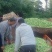 ，I四川省成都市红花白夹四季豆鲜货质量无斑点无虫1通货