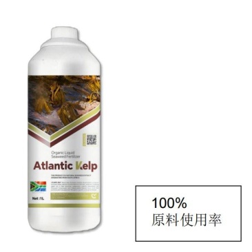 原装进口南非巨藻生根抗逆抗旱抗寒保水保肥