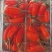 随时有货量大从优欢迎联系新鲜枸杞火爆销售中