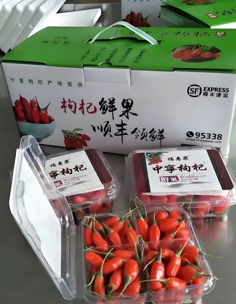 随时有货量大从优欢迎联系新鲜枸杞火爆销售中