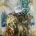 古田食用菌之都闽蘑头七珍菌汤包纯菌菇不含大枣可定制带资质