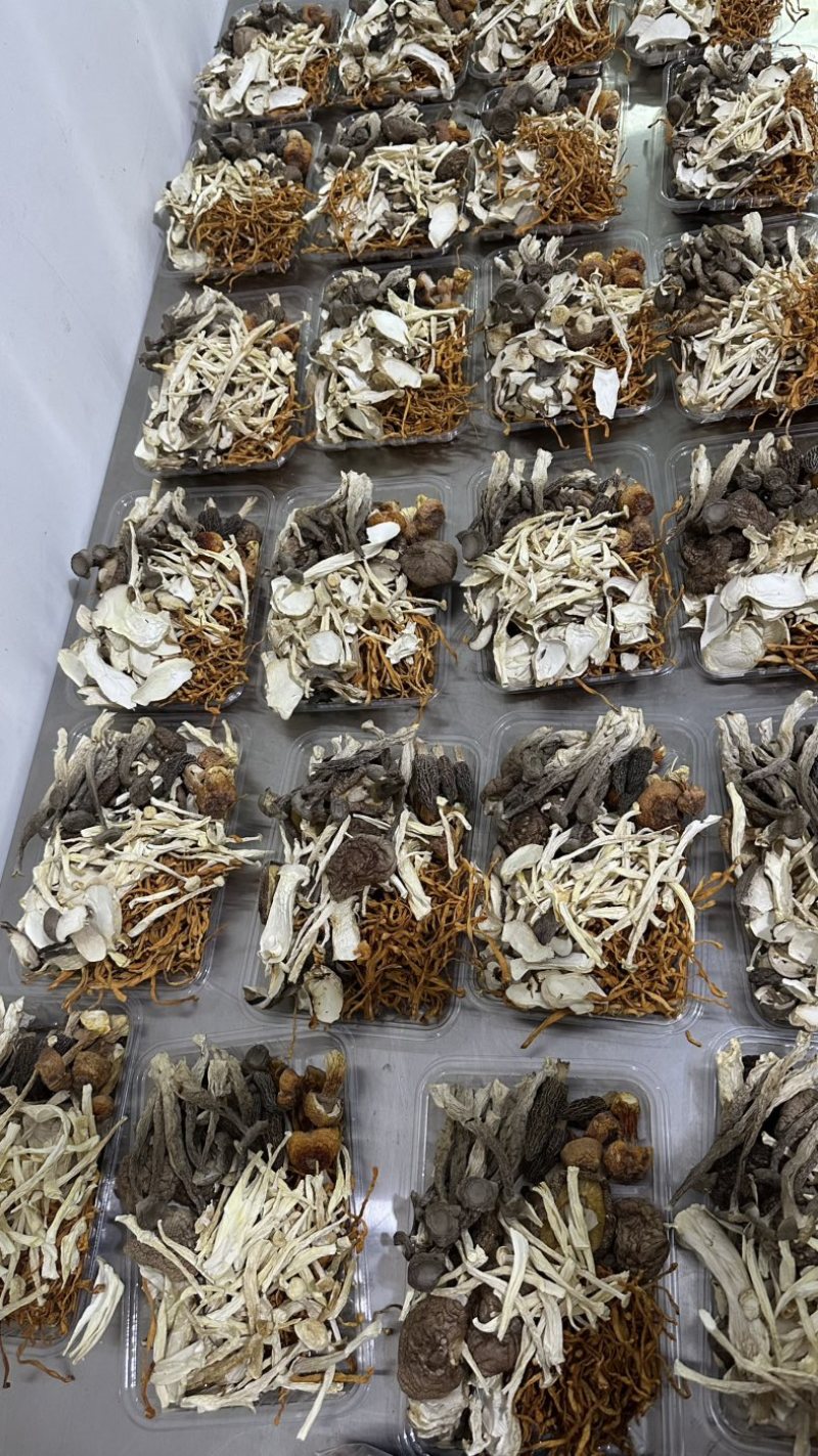 古田食用菌之都闽蘑头七珍菌汤包纯菌菇不含大枣可定制带资质