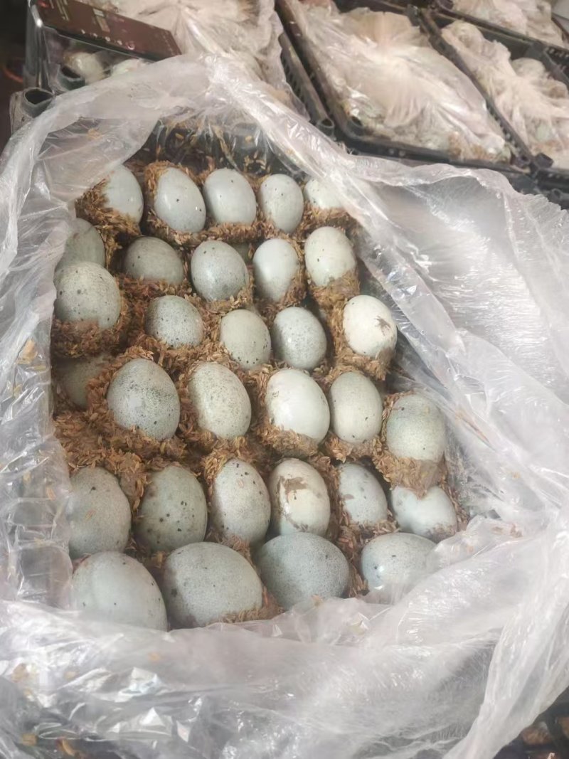 咸鸭蛋大量有货，厂家直发，质美价优。