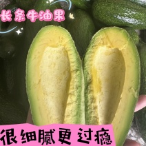 长型牛油果巨无霸牛油果现摘新鲜水果当季