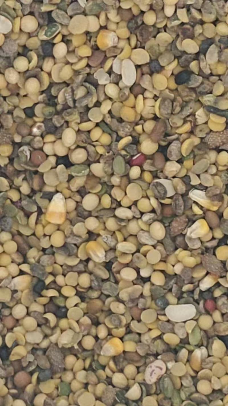 碎黄豆，黄豆肥，发酵大豆，，，，，，