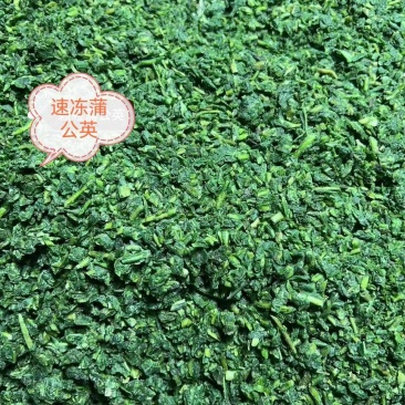 蒲公英，婆婆丁