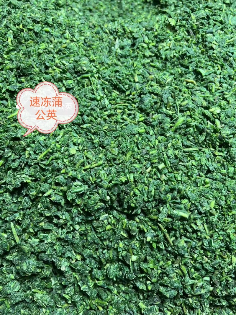 蒲公英，婆婆丁