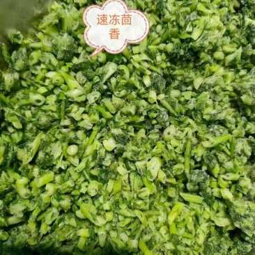 茴香