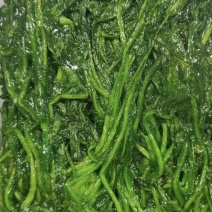 速冻荠菜，整棵