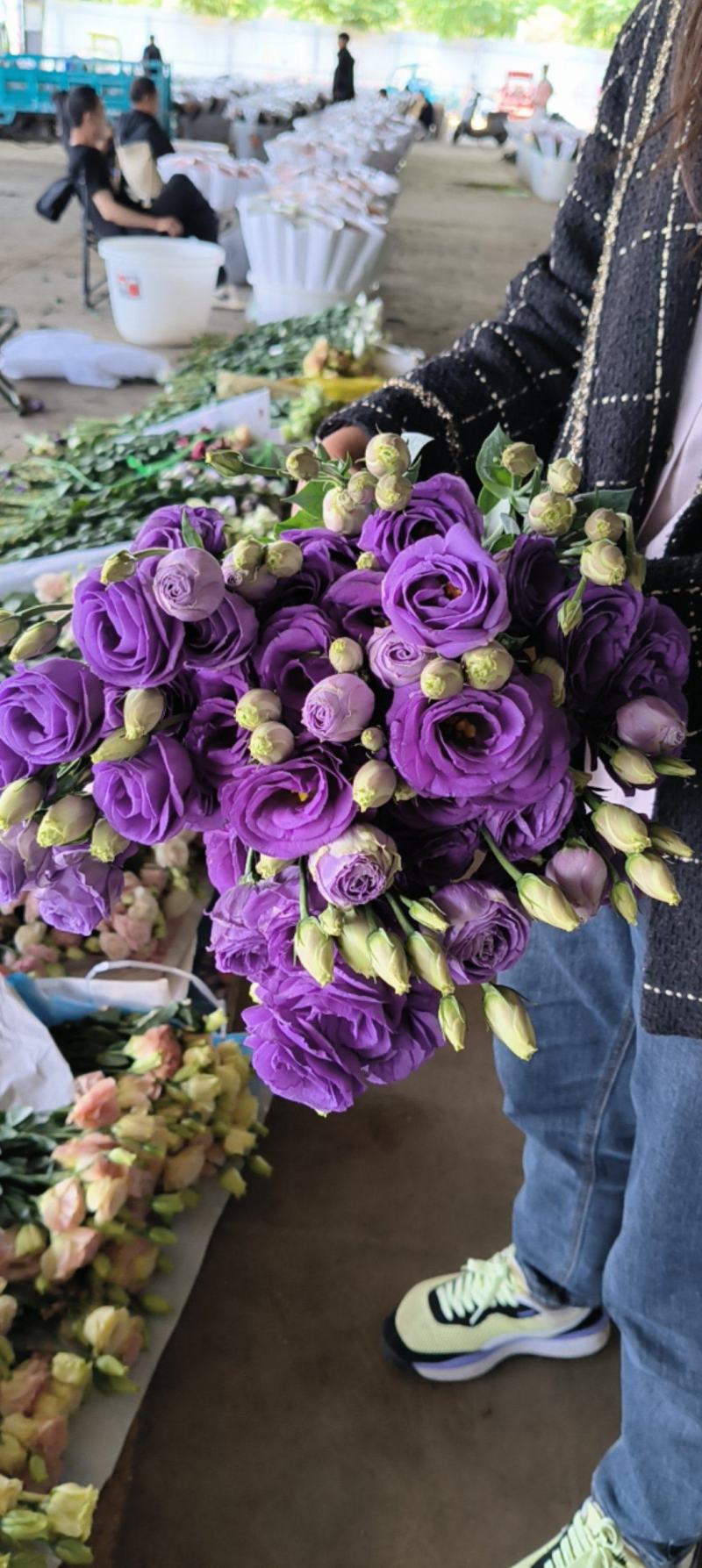 桔梗花有双层花语：永恒的爱，无望的爱