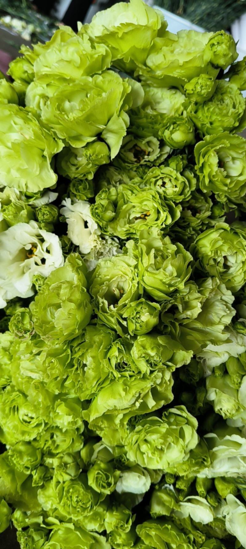 桔梗花有双层花语：永恒的爱，无望的爱
