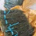 【热卖】精品干豆角，大量供应电商产地直发，一手货源
