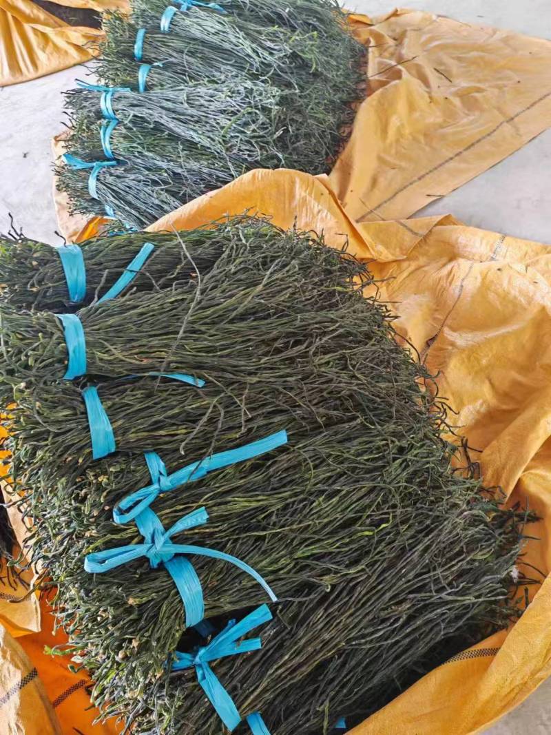 【热卖】精品干豆角，大量供应电商产地直发，一手货源