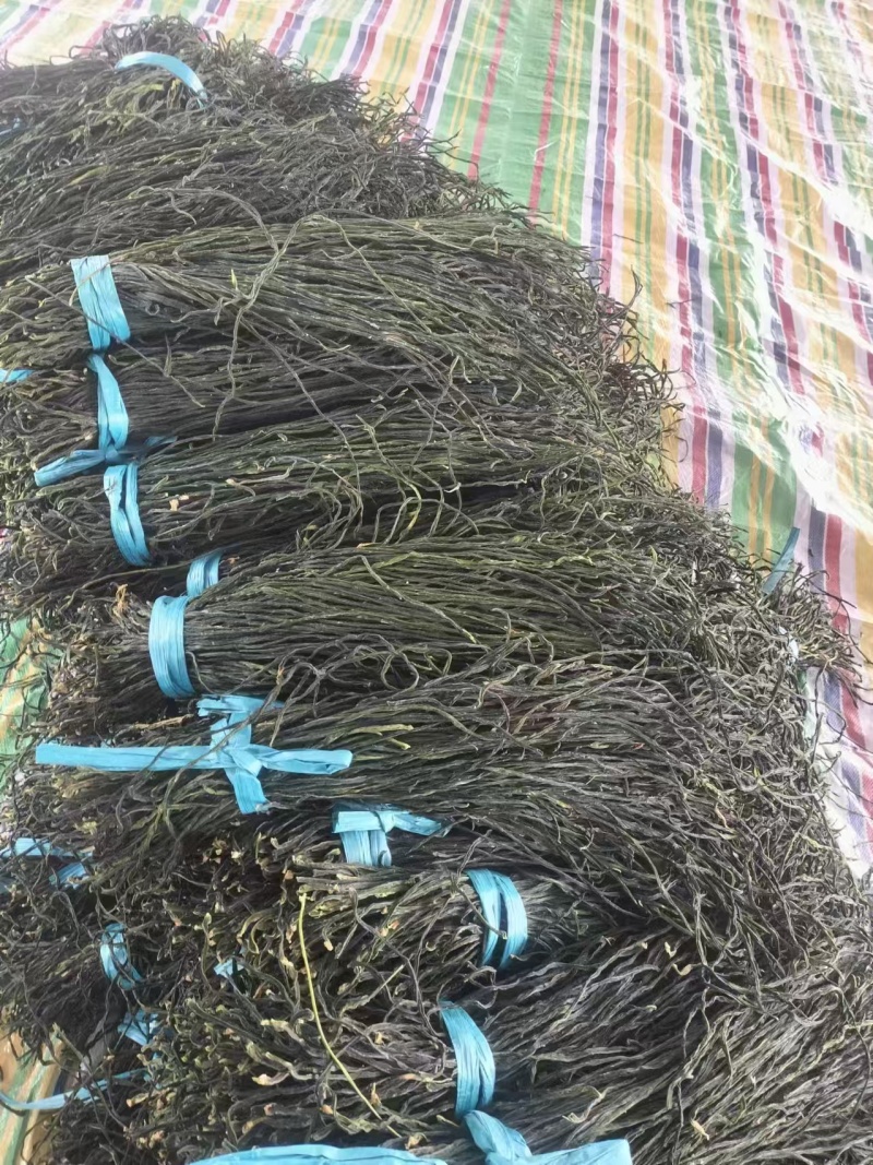 【热卖】精品干豆角，大量供应电商产地直发，一手货源