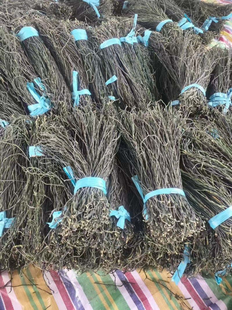 【热卖】精品干豆角，大量供应电商产地直发，一手货源