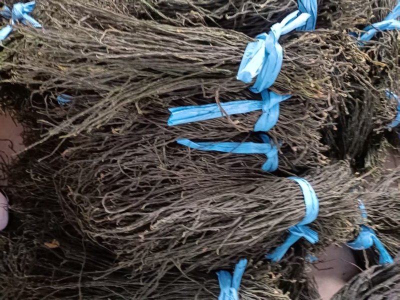 【热卖】精品干豆角，大量供应电商产地直发，一手货源