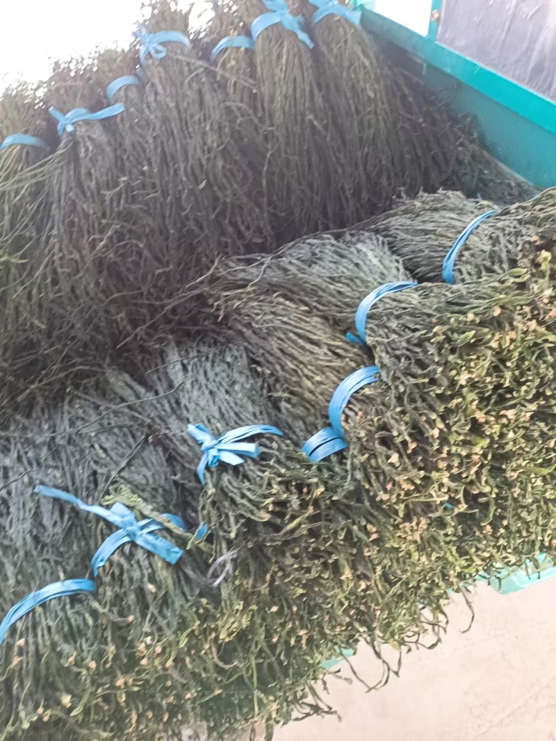 【热卖】精品干豆角，大量供应电商产地直发，一手货源