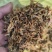 【热卖】精品梅干菜，大量供应，产地直发，量大从优