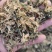 【热卖】精品梅干菜，大量供应，产地直发，量大从优