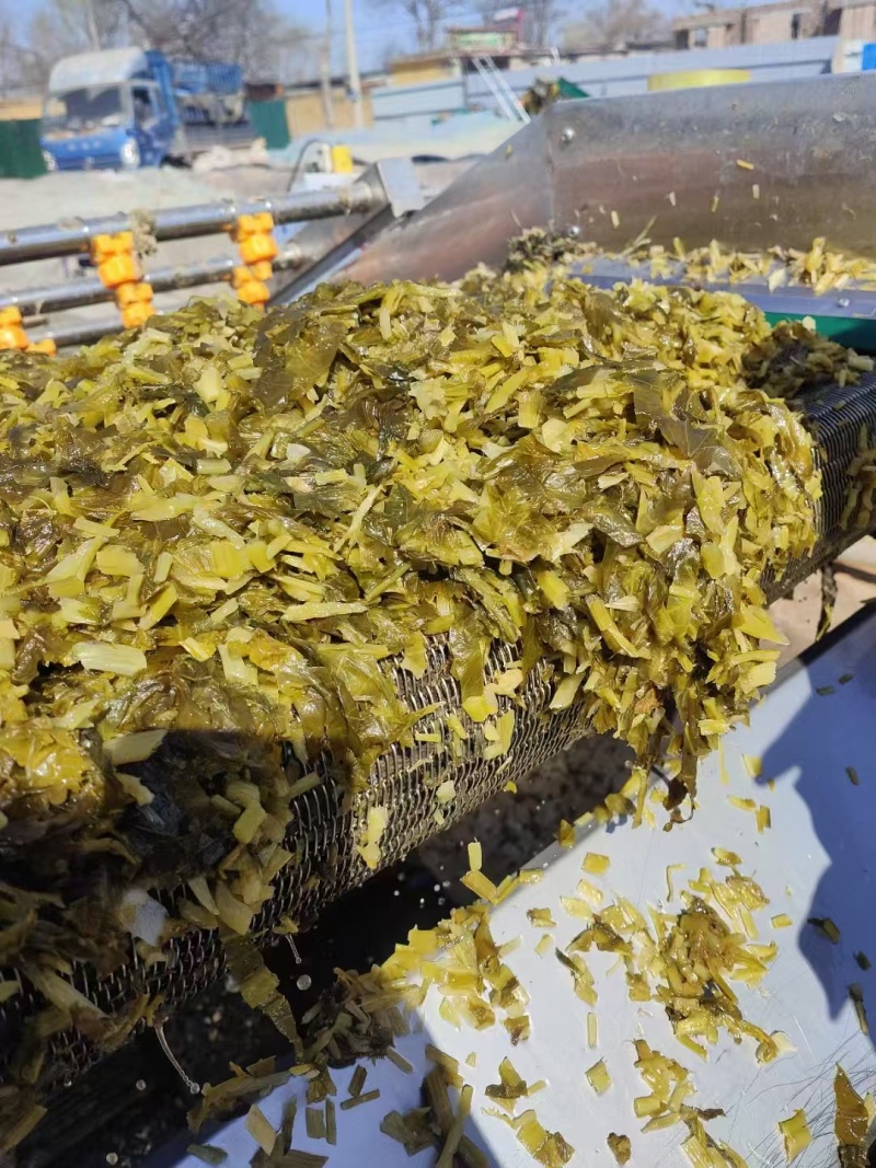 【热卖】精品梅干菜，大量供应，产地直发，量大从优