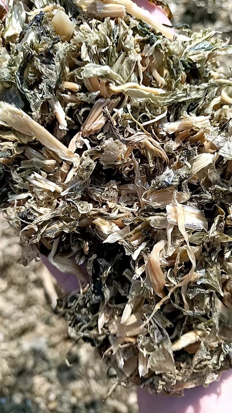 【热卖】精品梅干菜，大量供应，产地直发，量大从优