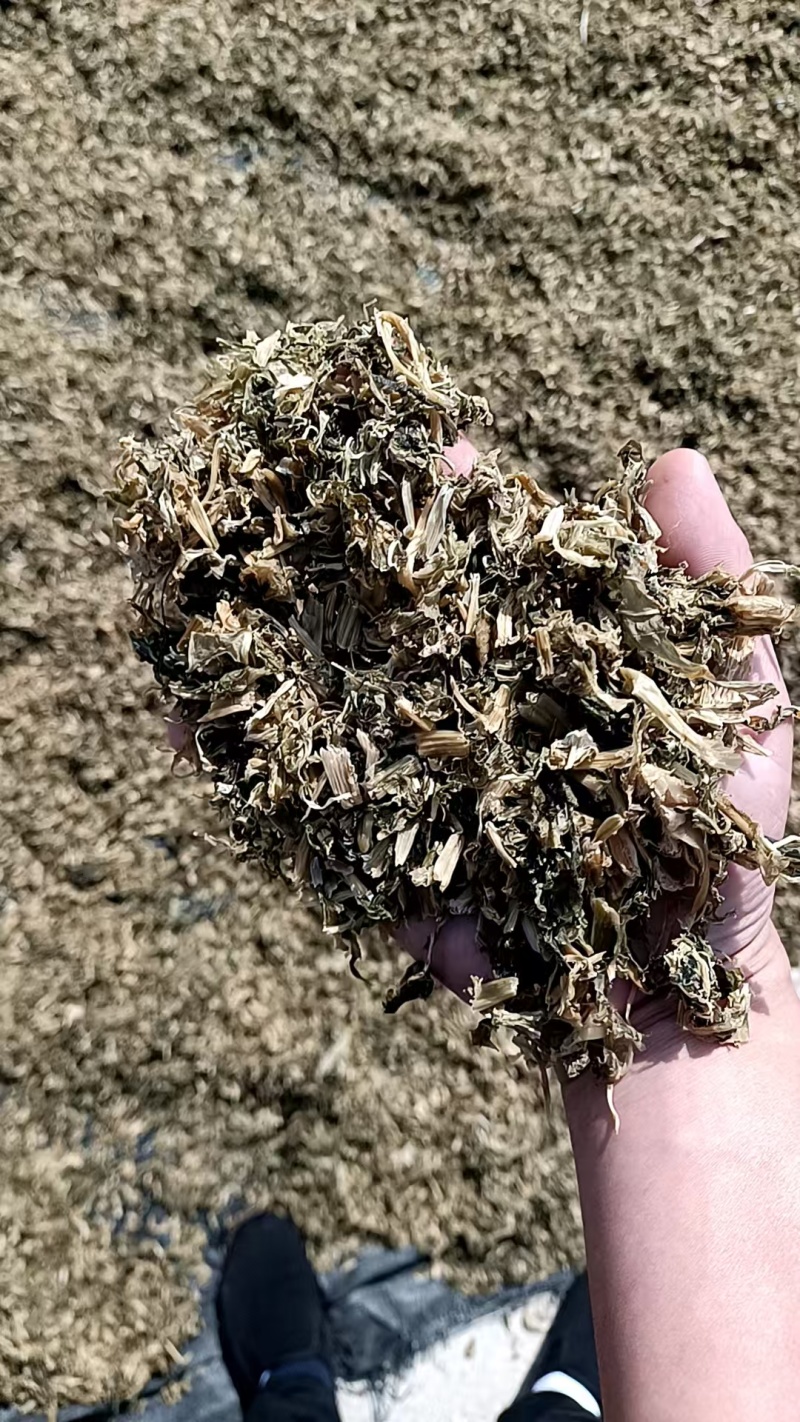 【热卖】精品梅干菜，大量供应，产地直发，量大从优