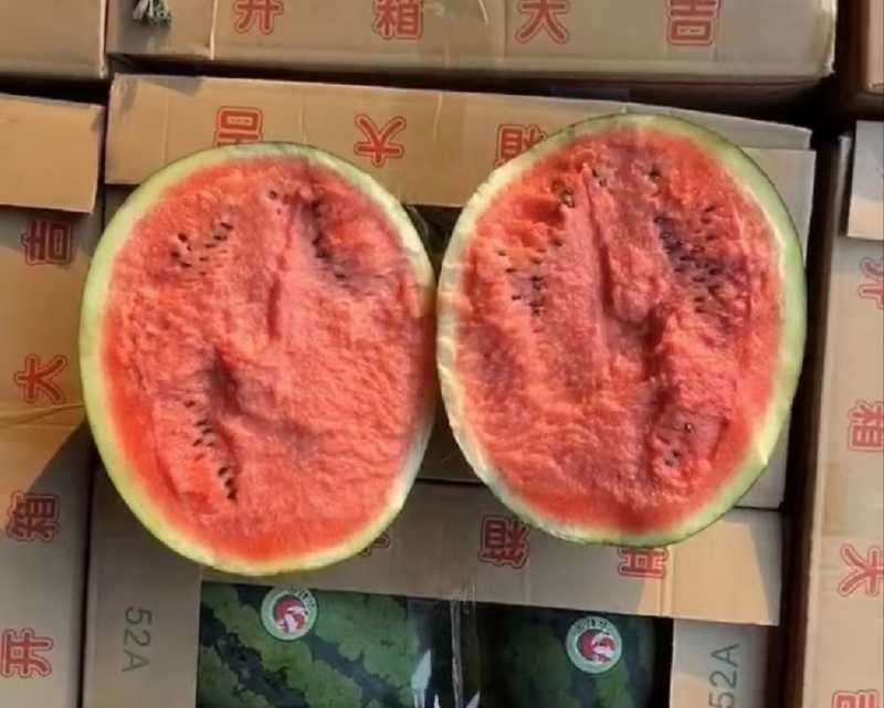 【推荐】陕西西瓜甜王西瓜嘉宝西瓜代办包熟包甜