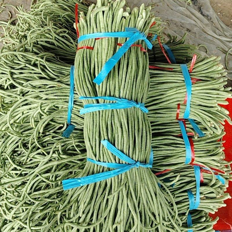 【热卖】精品青条长豆角大量上市中，泡水加冰，产地直发，