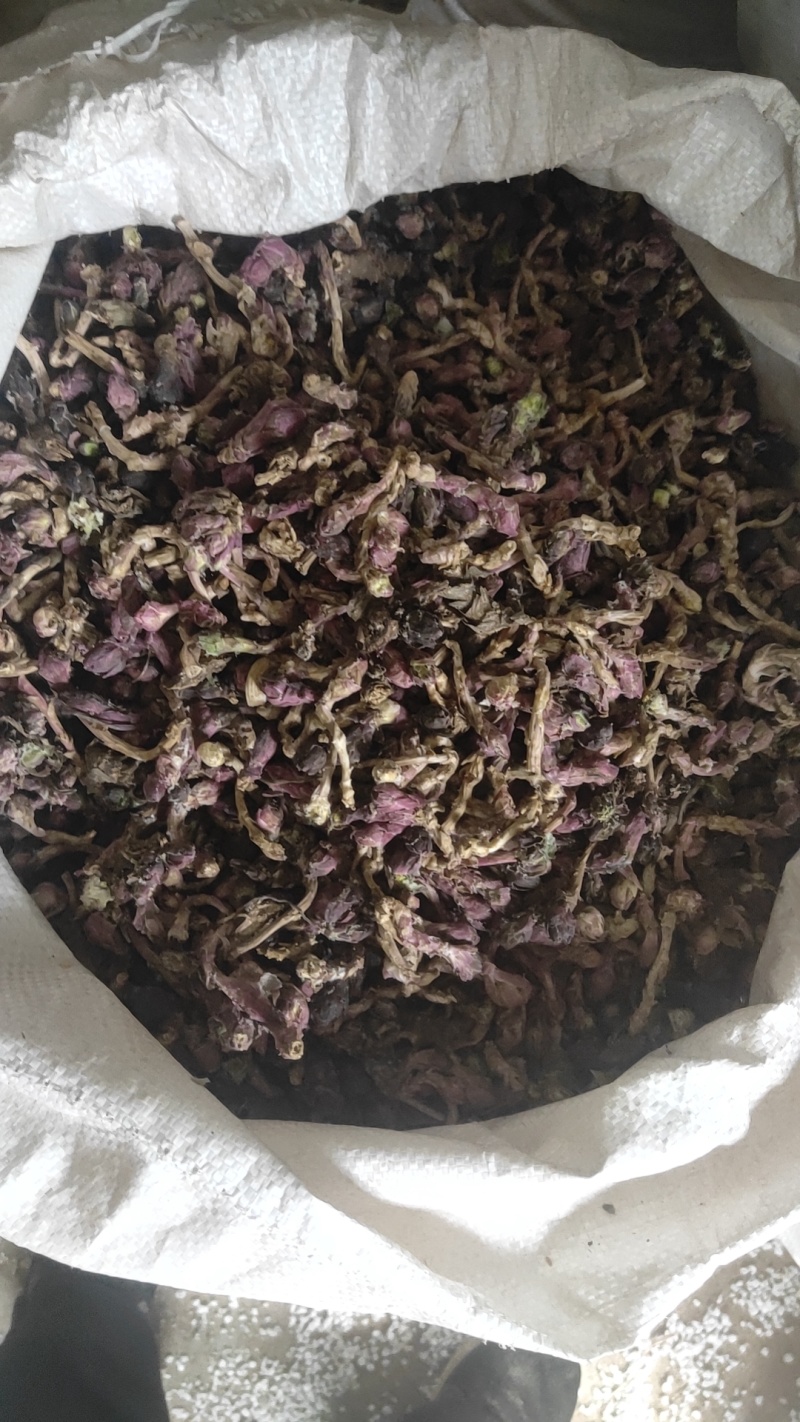 款冬花新货冬花干货产地直发量大从优长期供应