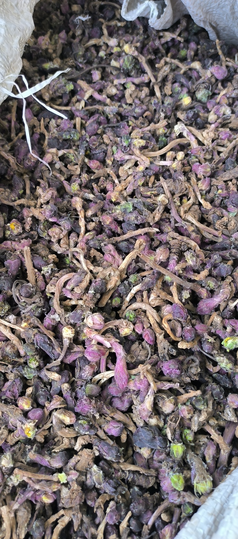 款冬花新货冬花干货产地直发量大从优长期供应