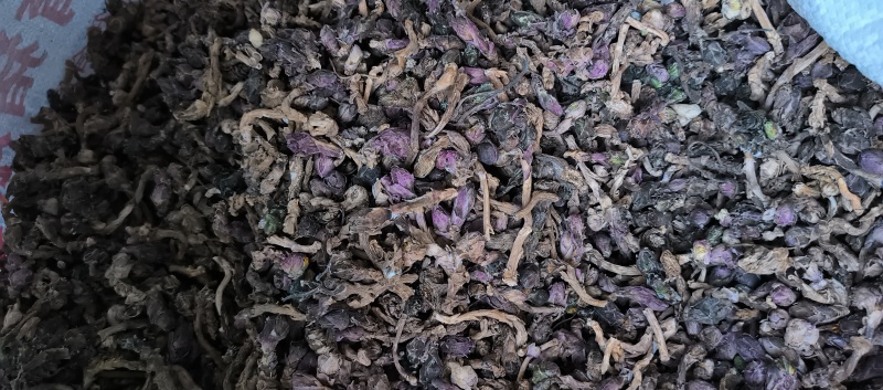 款冬花新货冬花干货产地直发量大从优长期供应