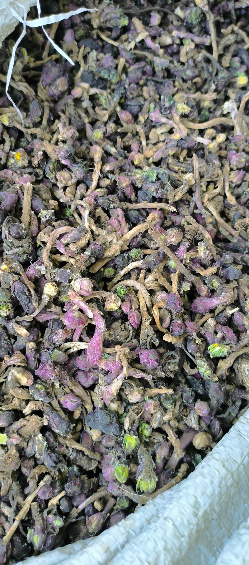 款冬花新货冬花干货产地直发量大从优长期供应
