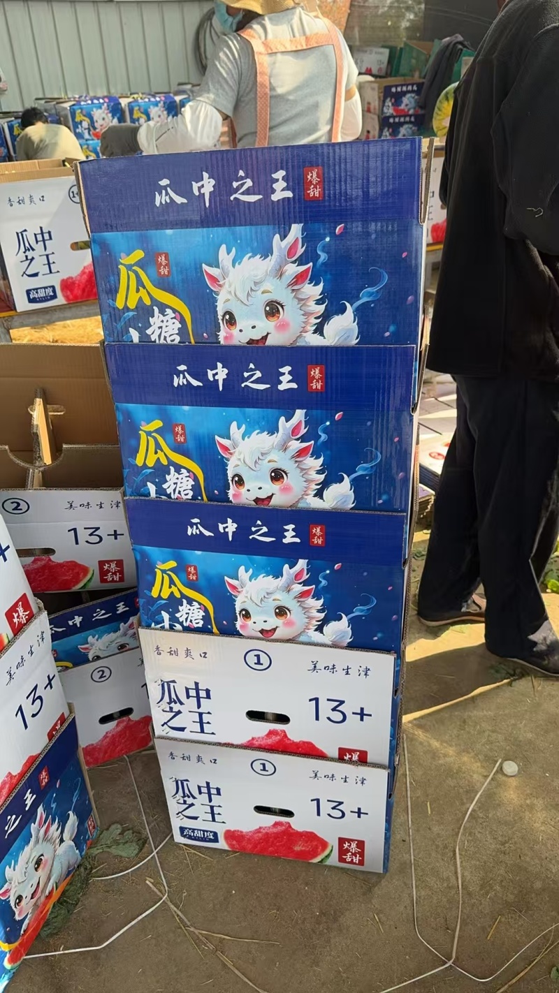 《万人合作商》无籽美都基地直发保质保量现摘现发一条龙服务