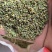 合欢米新货合欢花骨朵