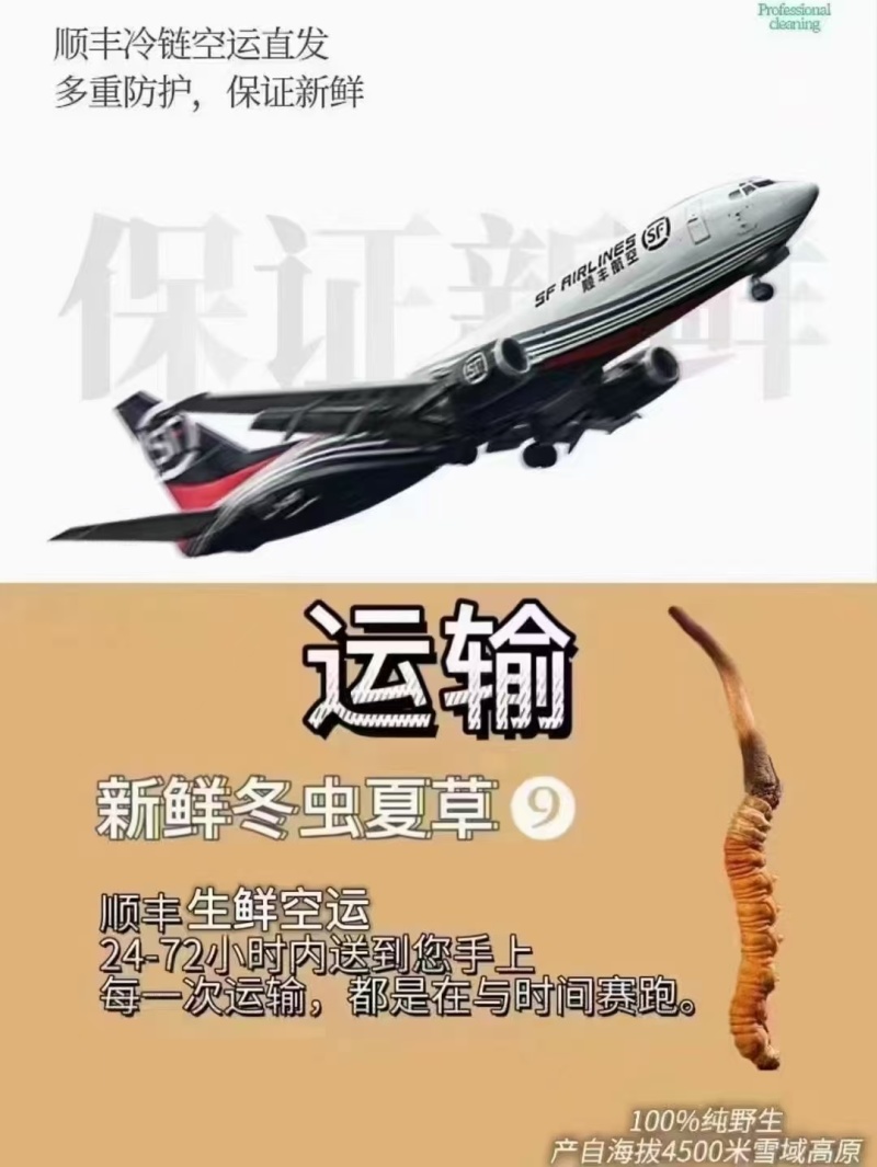 冬虫夏草，野生药材假一赔十