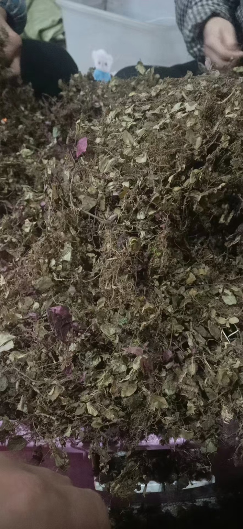 风柜斗草四川基地直供质量保证量大价优欢迎订购