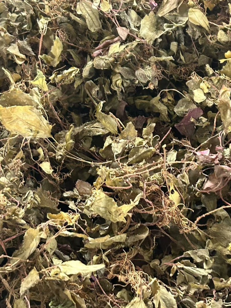 风柜斗草四川基地直供质量保证量大价优欢迎订购
